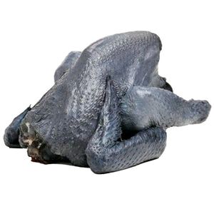 Chicken Kadaknath Murga (Whole) 1 Piece